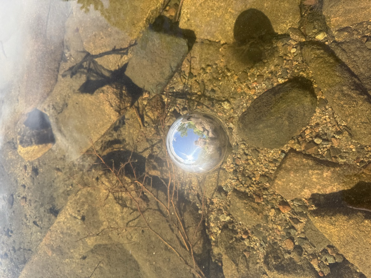 Polished 316ss stainless float ball resting in shallow clear water