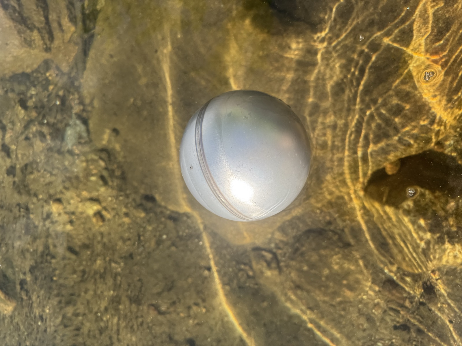 316SS grade stainless steel float ball